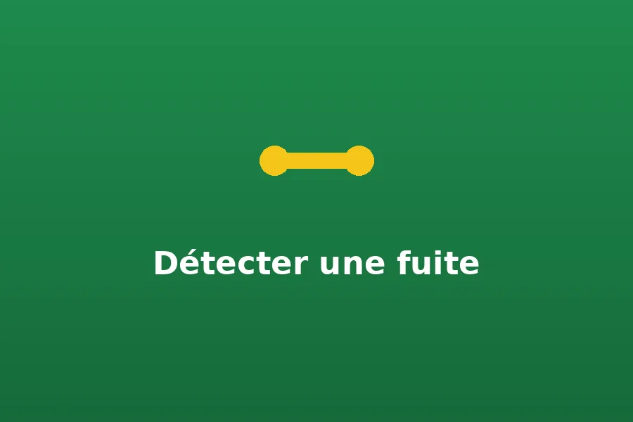 Compteur d'eau utilisé pour détecter une fuite
